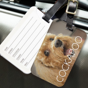 Süßer Cockapoo-Hund Haustier Tier Hundeliebhaber R Gepäckanhänger