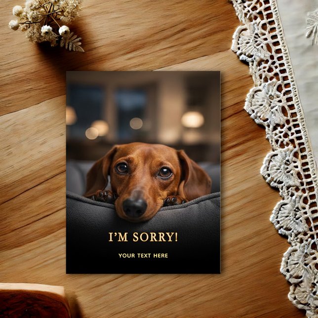 Süßer Dachshund Entschuldigung Postkarte (Von Creator hochgeladen)