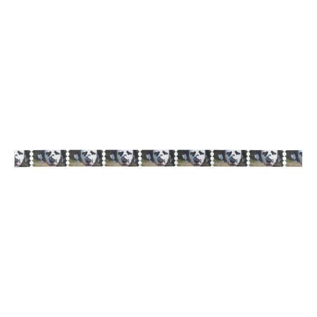 Süßer Dalmatiner-Welpe Satinband (Vorderseite)