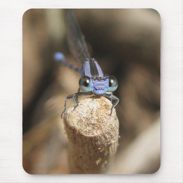 Süßer Damselfly (1) Mousepad (Vorne)