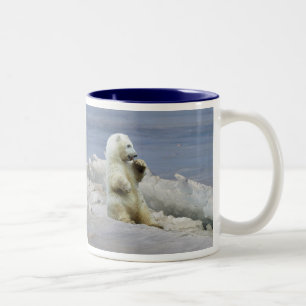 Süßer Eisbärjunger & Arktischer Eis-Kaffeebecher Zweifarbige Tasse
