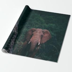 SÜSSER ELEFANT GESCHENKPAPIER