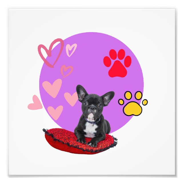 Süßer Frenchie-Welpe mit Herzen Fotodruck (Vorne)
