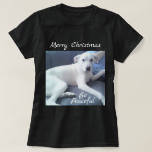 Süßer Friedlicher Niedlicher weißer Hund sitzend m T-Shirt