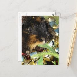 Süßer Frohe Weihnachten Meerschweinchen Postkarte