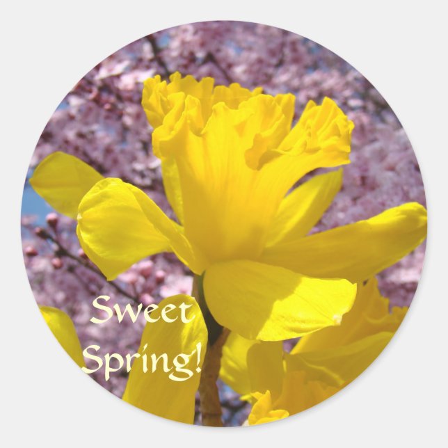 Süßer Frühling! Aufkleber Florale Narzissen Blumen (Vorderseite)
