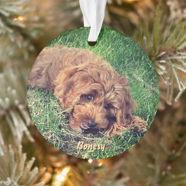 Süßer Golden Doodle Weihnachtsschmuck Ornament (Baum)