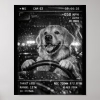 Süßer Golden Retriever fährt Auto Tierwitz