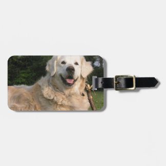 Süßer golden retriever-Gepäckanhänger Gepäckanhänger