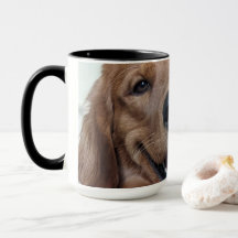 Süßer Golden Retriever | Originale Hunde-Fotografi
