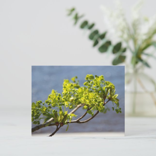 Süßer grüner Zweig im Wind Postkarte (Stehend Vorderseite)