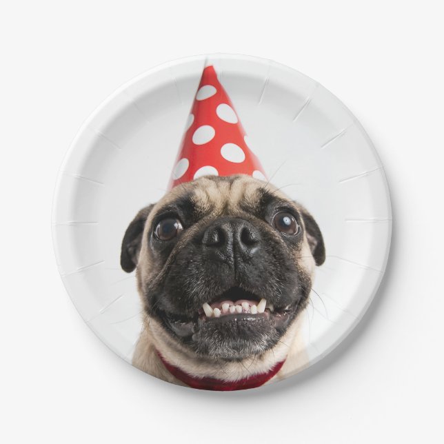Süßer Happy Birthday Mops mit rotem Partyhut Pappteller (Vorderseite)
