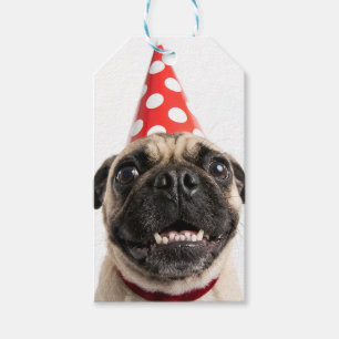 Süßer Happy-Birthday-Mops mit roter Partyhut Geschenkanhänger