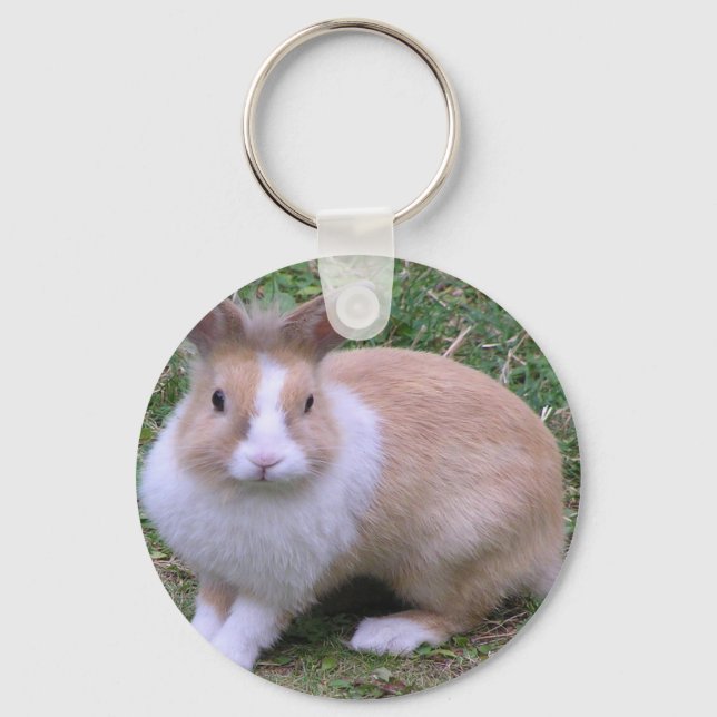 süßer Hase Schlüsselanhänger (Vorderseite)