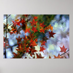 Süßer Herbstposter Poster