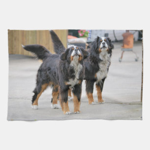Süßer Hund als Haustier Geschirrtuch
