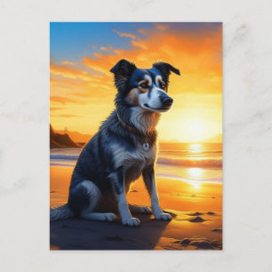 Süßer Hund am Strand bei Sonnenuntergang   Hallo s Postkarte