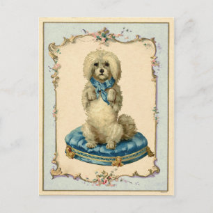 Süßer Hund Blaue Kissen Vintage-Reproduktion Postkarte