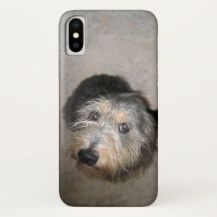 Süßer Hund Case-Mate iPhone Hülle