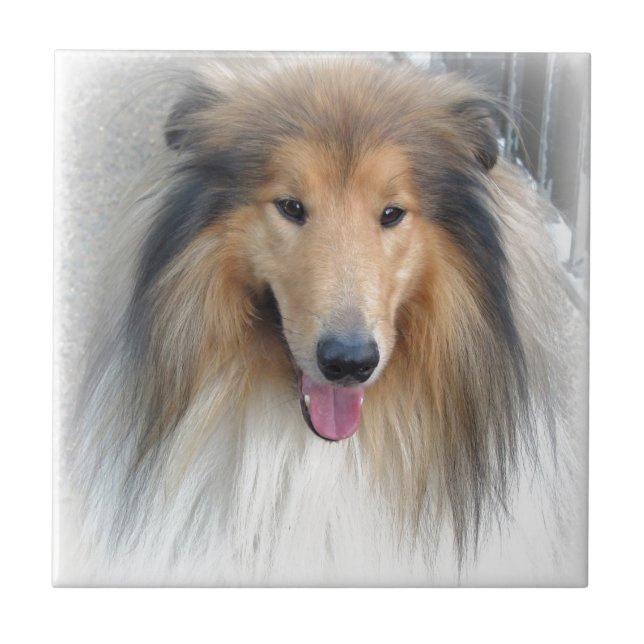 Süßer Hund Fliese (Vorderseite)