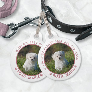 Süßer Hund Foto Name Pfotenabdrücke Personalisiert Haustiermarke