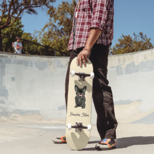 Süßer Hund, Französische Bulldogge Skateboard