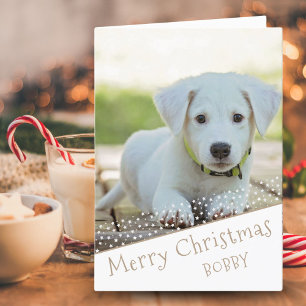 Süßer Hund Haustier Foto Sterne Frohe Weihnachten
