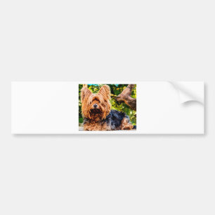 Süßer Hund Haustier Yorkie Frieden Liebe Schicksal Autoaufkleber