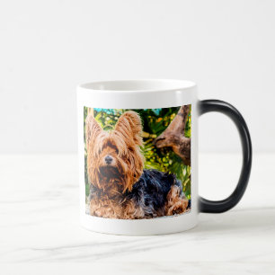 Süßer Hund Haustier Yorkie Frieden Liebe Schicksal Verwandlungstasse