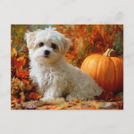 Süßer Hund Herbst Kürbis Herbstlaub Design Postkarte
