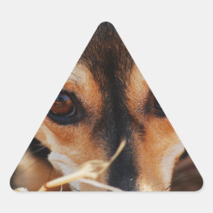 Süßer Hund im Heu Dreieckiger Aufkleber