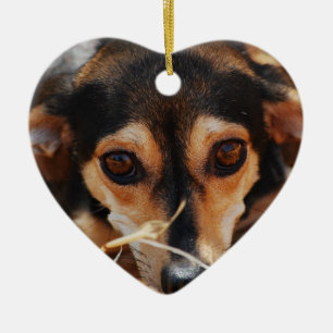 Süßer Hund im Heu Keramikornament