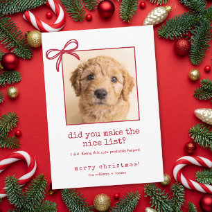 Süßer Hund Lustiges Foto Weihnachts Feiertagskarte