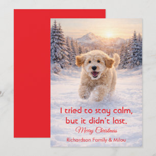 Süßer Hund mit lustigem Weihnachtszitat Weihnach Feiertagskarte