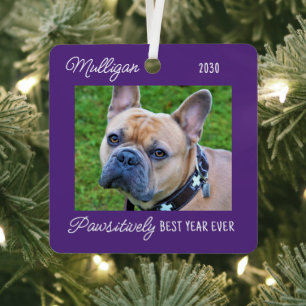 Süßer Hund Quarantäne Weihnachten Lila Haustier Fo Ornament Aus Metall
