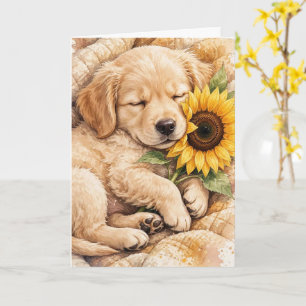 Süßer Hund schläft mit einer Sonnenblume auf einer Karte