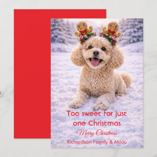 Süßer Hund Weihnachten Süße Zitate Feiertagskart