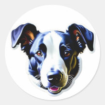 Süßer Hund Welpe, glücklicher Hund #4