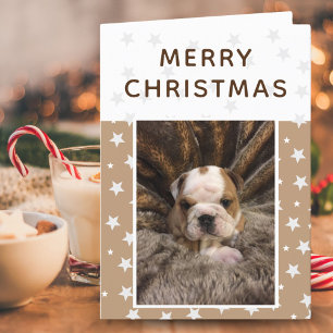 Süßer Hund Welpen Foto Sterne Frohe Weihnachten