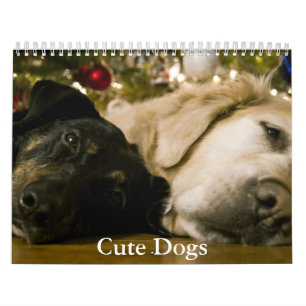 Süßer Hundekalender Kalender