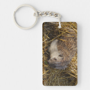 Süßer Igel auf Stubelfeldern Schlüsselanhänger
