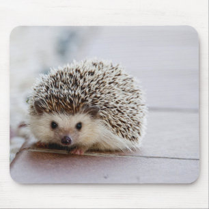 Süßer Igel, Mauspad