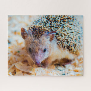 Süßer Igel, Puzzle