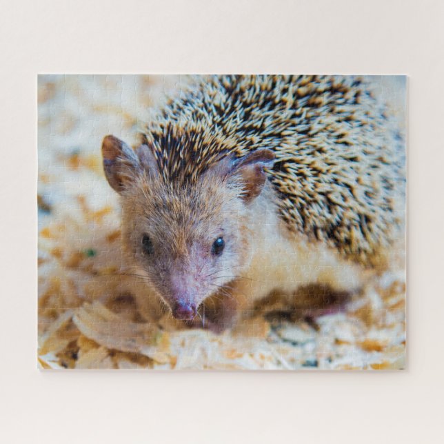 Süßer Igel, Puzzle (Horizontal)