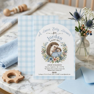 Süßer Igel Süße Babyparty Blau Gingham Einladung