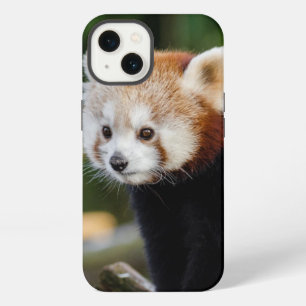 Süßer junger Roter Panda iPhone 13 Hülle