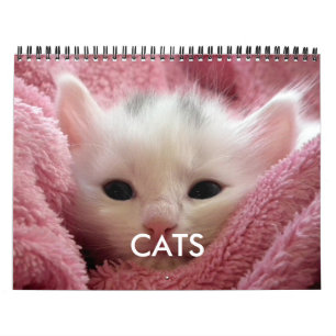 Süßer Katzenkalender Rosa Kuschelkatzenliebhaber Kalender