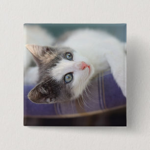 Süßer Kitty im karierten Bett Button