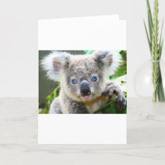 Süßer Koala-Bär Dankeskarte