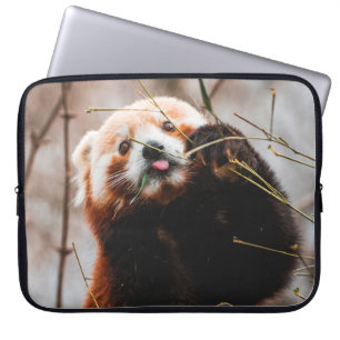 SÜßER KOALA-BÄR LAPTOPSCHUTZHÜLLE